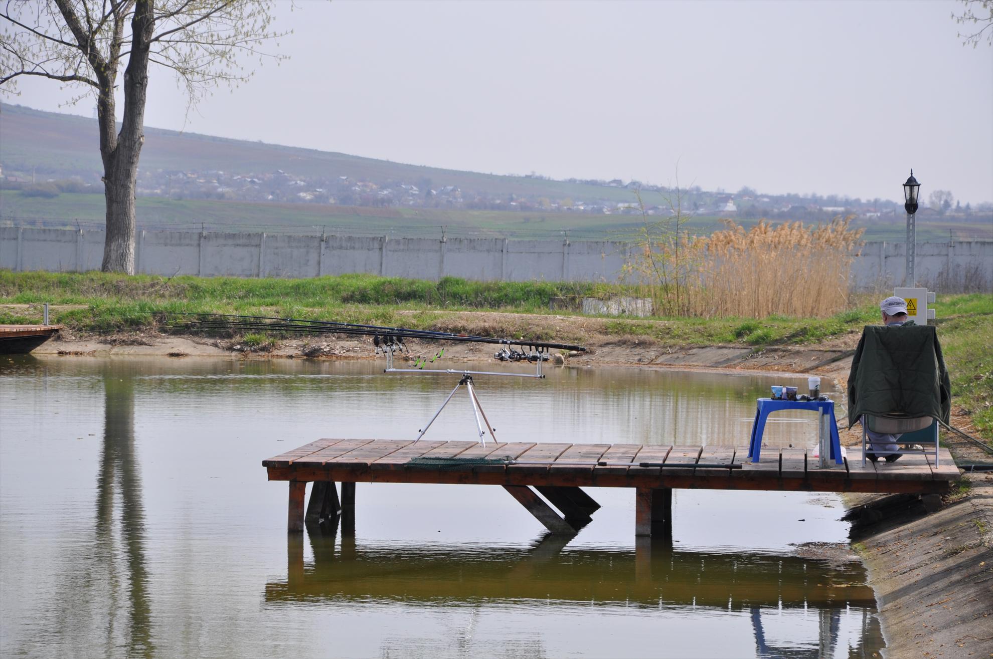 PLEASA 13.04.2013 - dsc0258.JPG